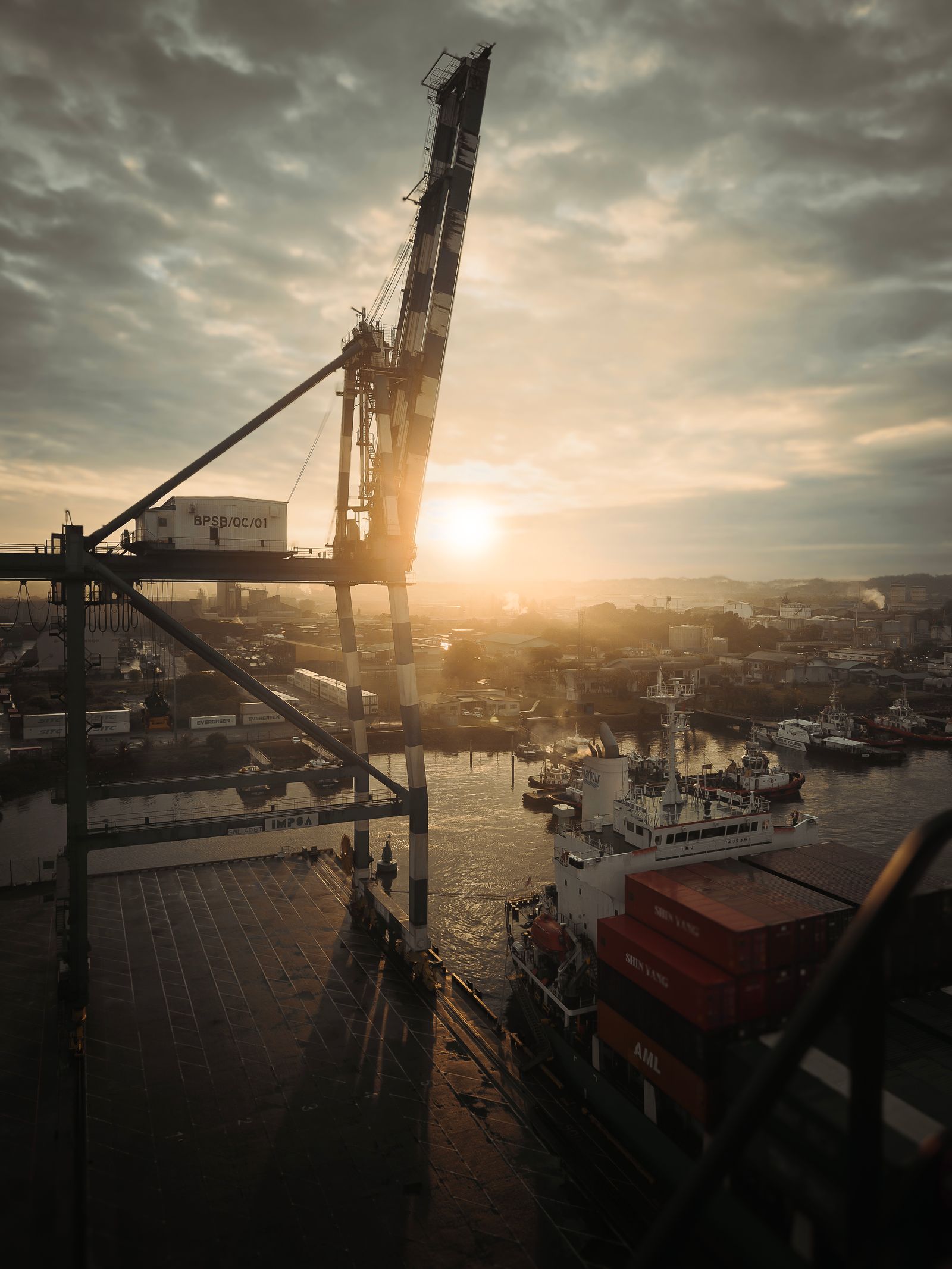 Rotterdam Container Terminal